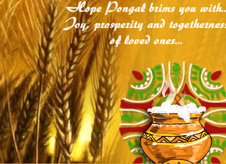 Blessed pongal
